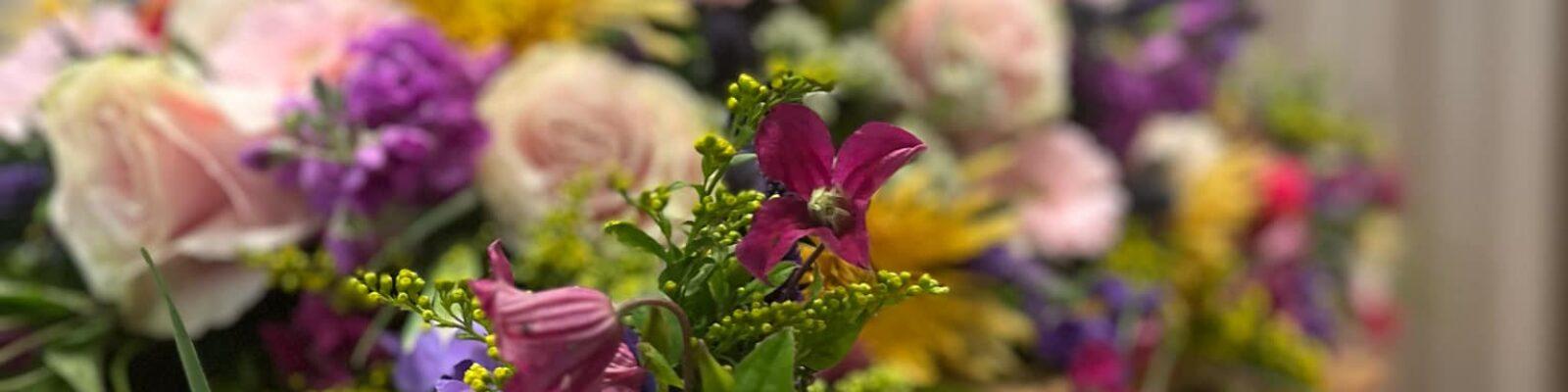 Messenger_creation_B6794E0C-5650-4BD0-BF71-7E9A9991C39A (2)