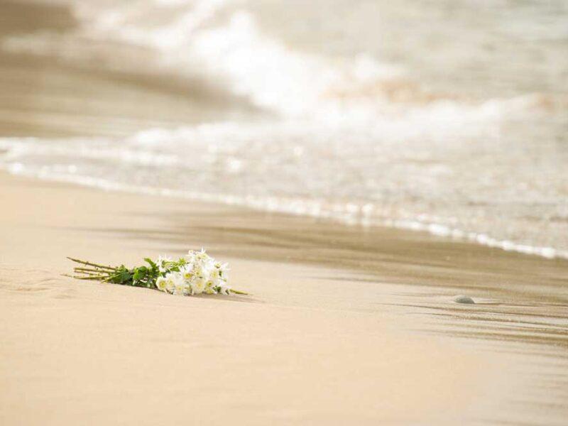 Funeral-they-want-or-funeral-you-need